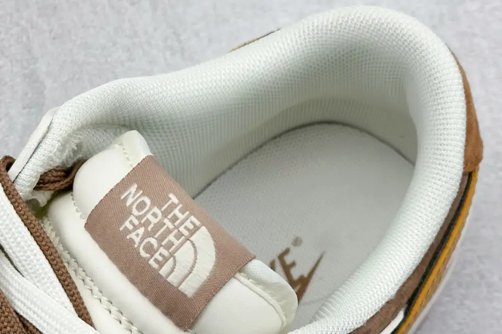 Contemporary Nike SB Dunk Low North Face Beige Brown – Nikes 1651 