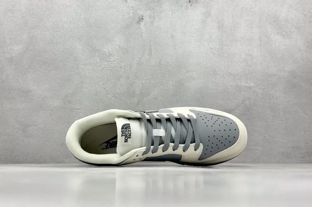 Nike SB Dunk Low North Face Beige Grey Nikes Functional 1632 