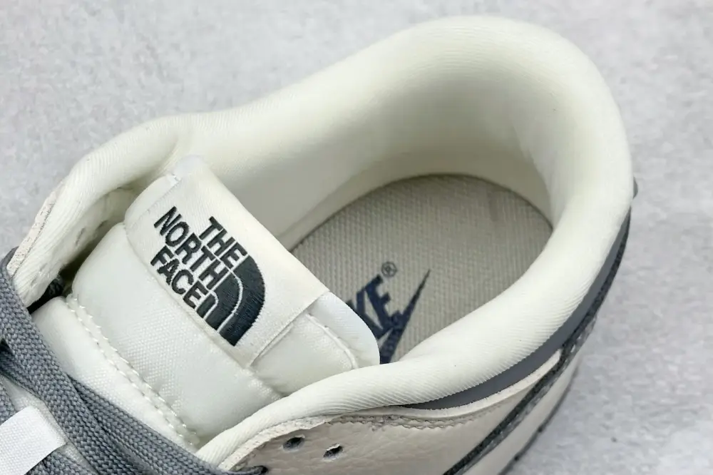 Nike SB Dunk Low North Face Beige Grey Nikes Functional 1632 