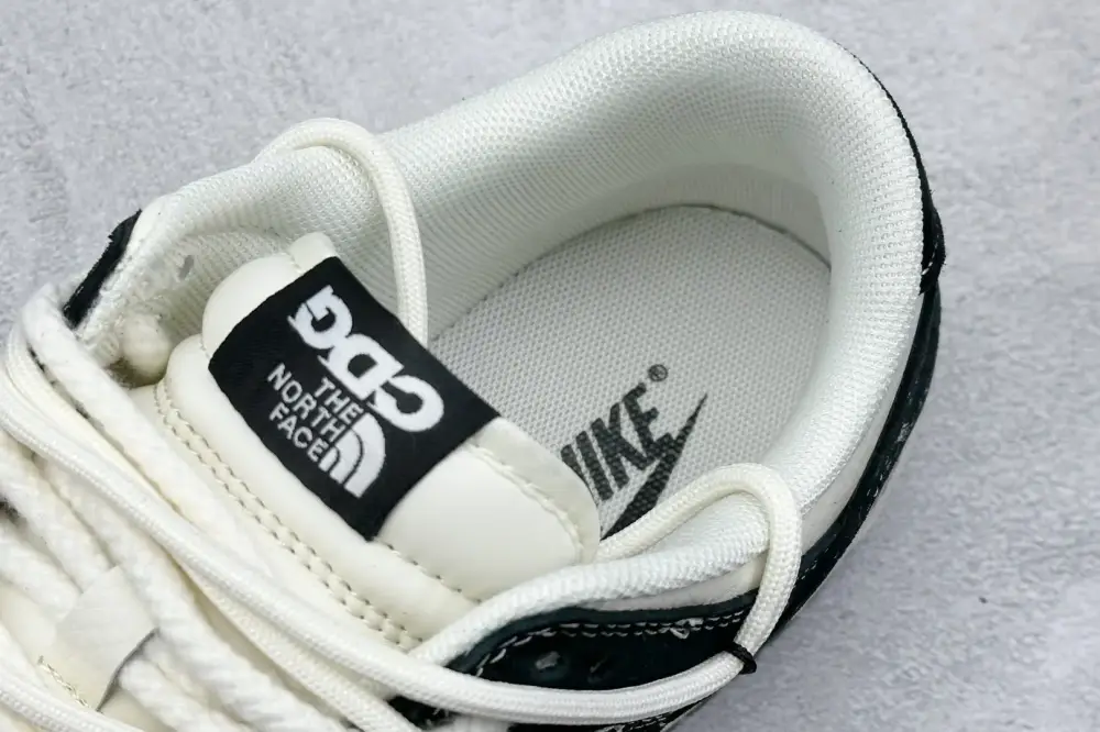 Nike SB Dunk Low North Face Black White Nike Classic 1618 