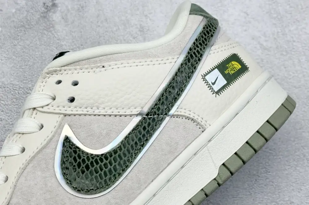 Nike SB Dunk Low North Face Snake Green Swoosh – BestValue 1622 